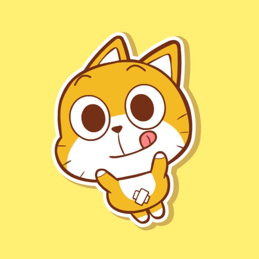 Mango Mango Cat Mango Mango Cat