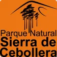 Sierra de Cebollera
