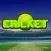Mini Street Cricket
