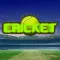 Mini Street Cricket
