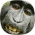Monkey Sounds