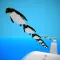 Penguin Rush!.