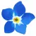 Forget Me Not - Grave Finder