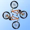 Mountain Bike Free Style