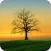 Nature Wallpaper
