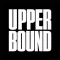 Upper Bound AI Conference