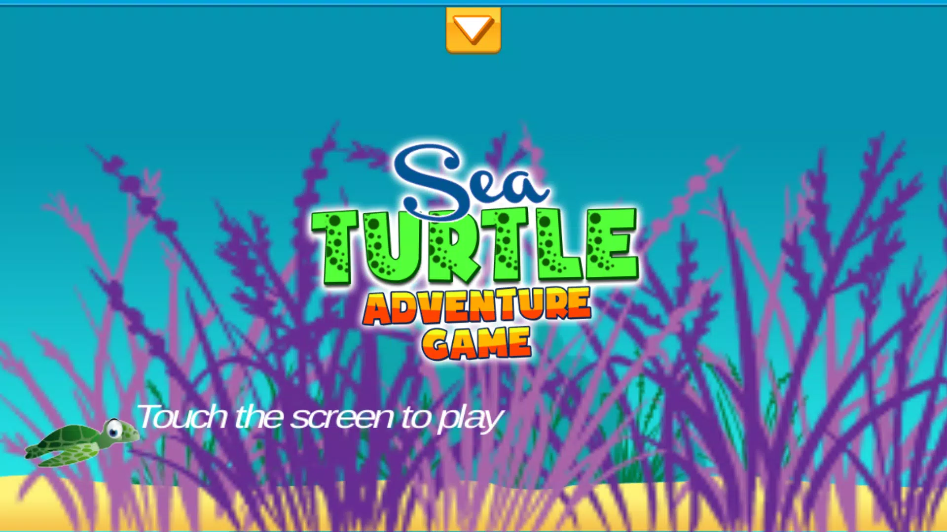 Sea Turtle Adventure Game Screenshots