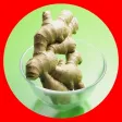 Organic agricultural fungicide