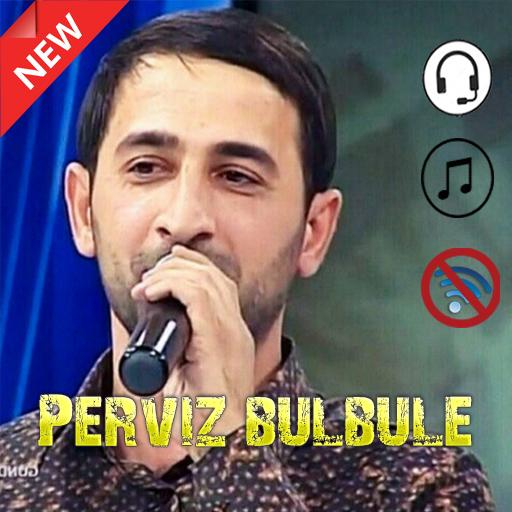 Perviz Bulbule 2020 İnternet olmadan