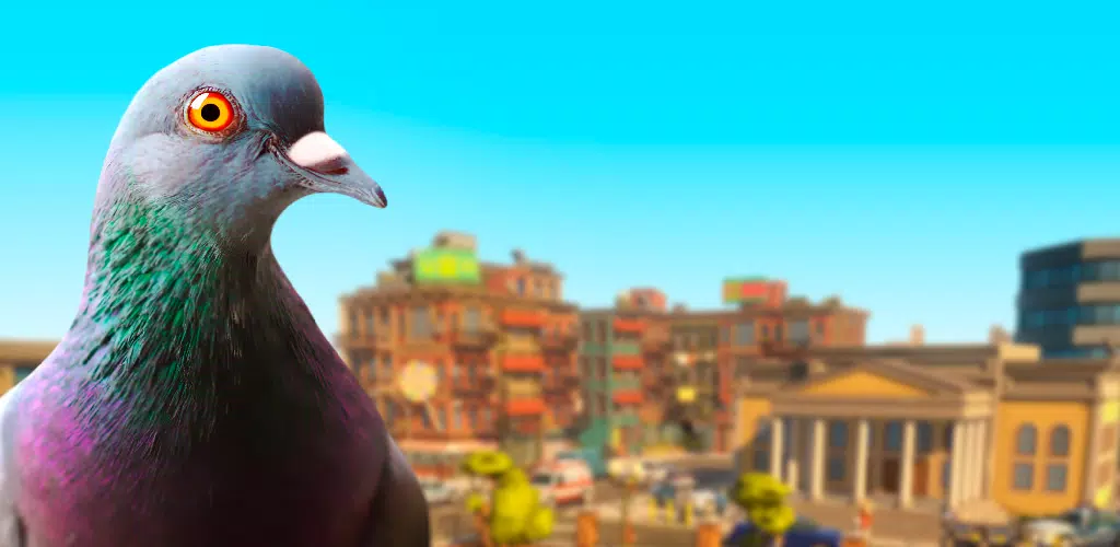 Pigeon Screenshots