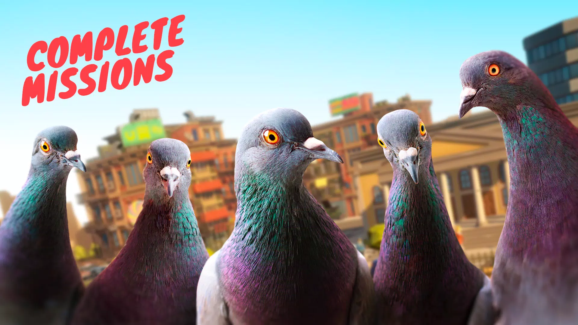 Pigeon Screenshots