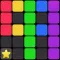 Block Puzzle 99