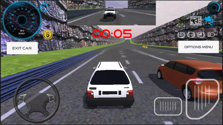 Suzuki Car Simulator Game Screenshots