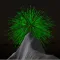 Fireworks Tap 2