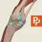 Primal's 3D Knee