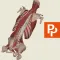 Primal's 3D Spine