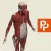 Primal's 3D Whole body