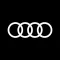 Audi eTwin Cup