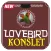 Cara Melatih Lovebird Ngekek Konslet