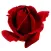 ROSEBUD LC