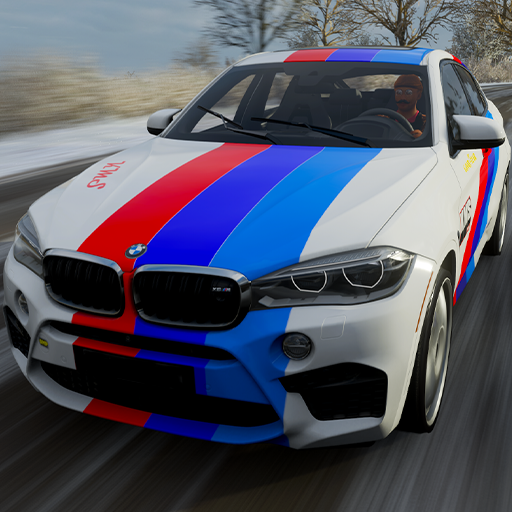 Simulator BMW X6 Sport Driving