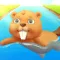 Beaver River Rush