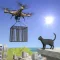 Animal Rescue Drone Flying