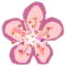 Hanami