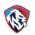 Ron Moore Solutions LLC