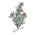 豊中市のお家サロン RoseMary