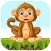 Run Monkey Run
