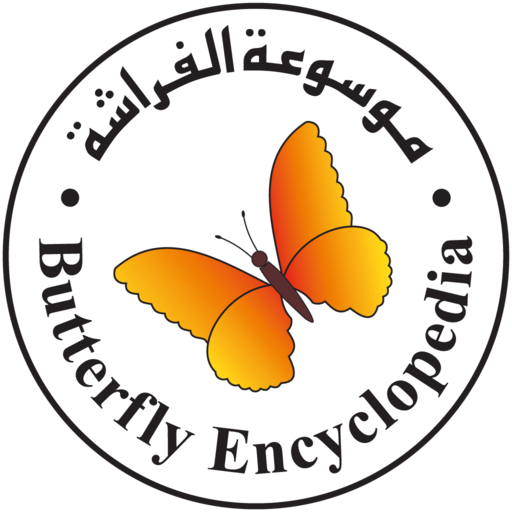 Online Butterfly Encyclopedia
