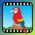 Video Touch - Wild Birds