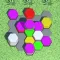 Hexa Color Sort 3D