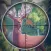 Deer Hunting Target