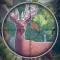 Deer Hunting Target