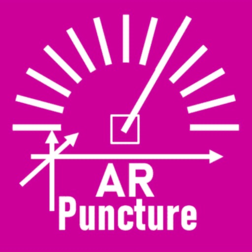 AR Puncture: Medical AR Viewer AR Puncture: Medical AR Viewer