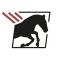 StepUp Horse