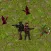 Dungeon Slayer