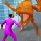 Home Rush : The Fish Puzzle