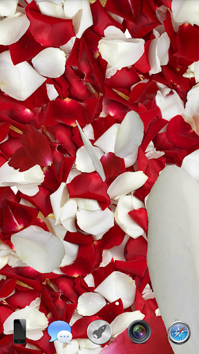 Petals 3D live wallpaper Screenshots