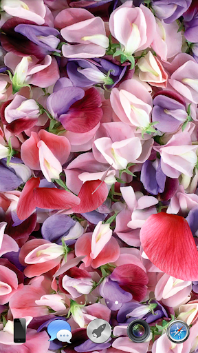 Petals 3D live wallpaper Screenshots