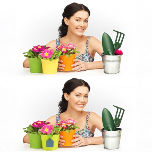 Find The Difference - Hobby Find The Difference - Hobby