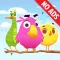 Color Bird : Puzzle Sort Game