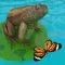 Frogs Life