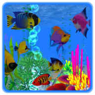 VR Coral Reef Underwater Scuba Diving VR Coral Reef Underwater Scuba Diving