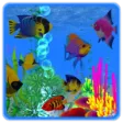 VR Coral Reef Underwater Scuba Diving
