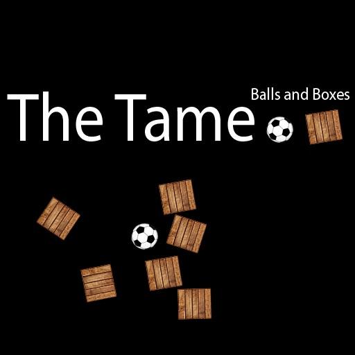 The Tame - The Time