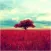 Gloomlogue