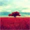 Gloomlogue
